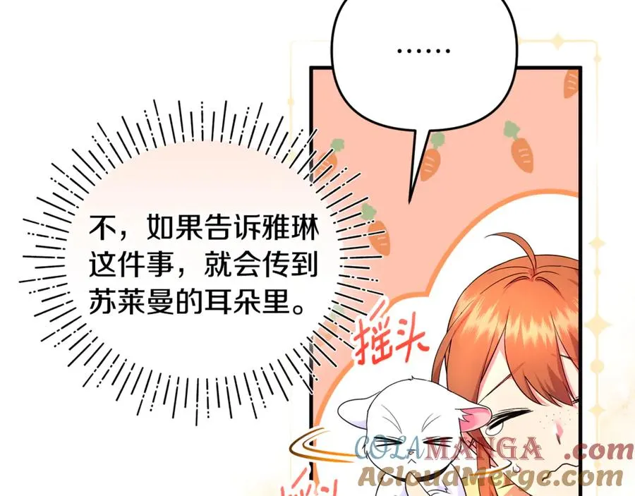 第25话 成为苏丹的资格 第213页