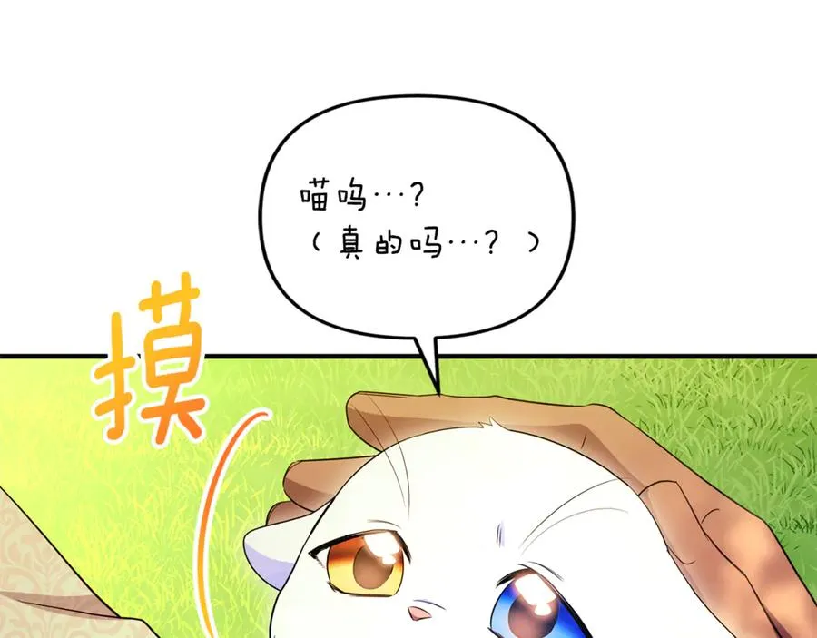 第30话 我的幸运女神 第147页