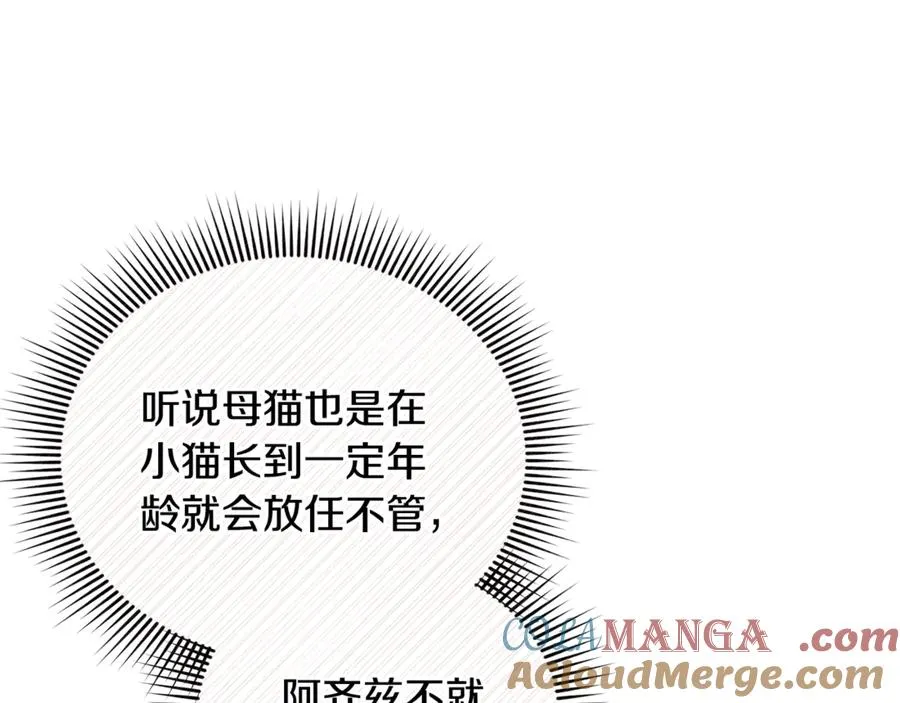 第36话 治病救人 第41页
