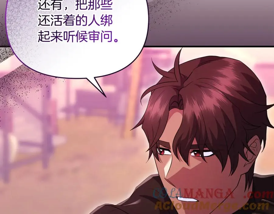 第37话 暗中策划 第17页