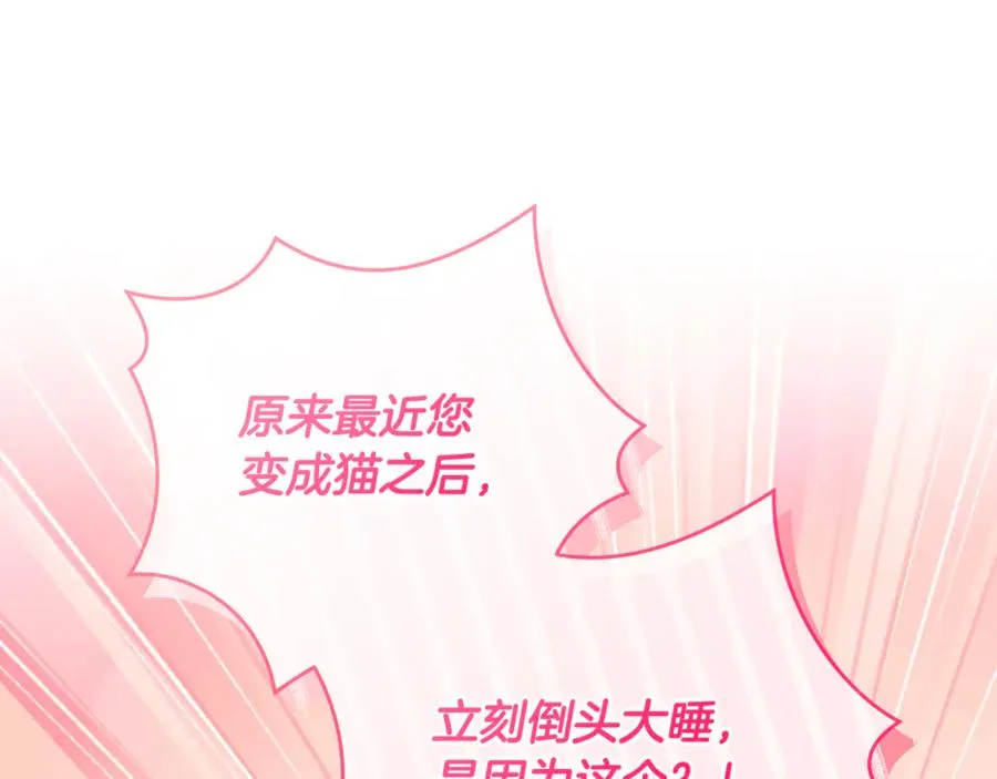 第38话 遭遇突袭 第48页