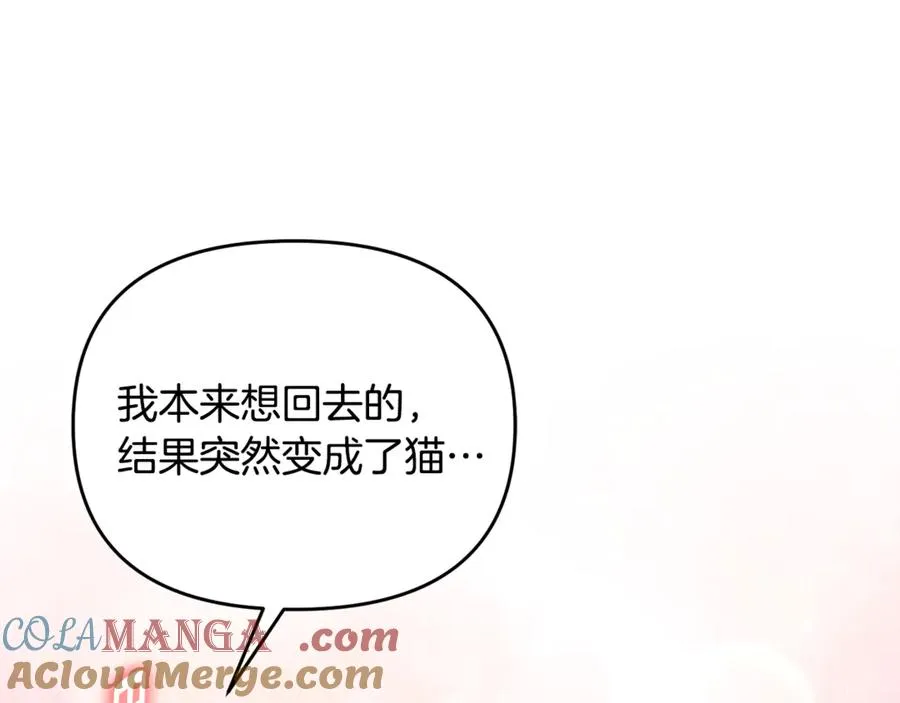第42话 重要的时刻 第33页