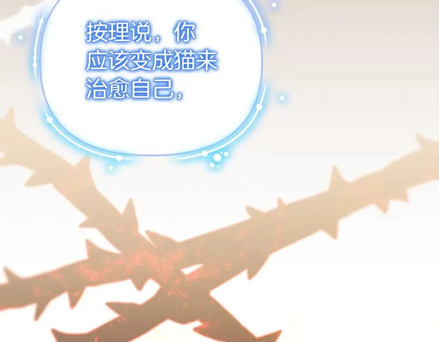 第48话 诅咒 第19页