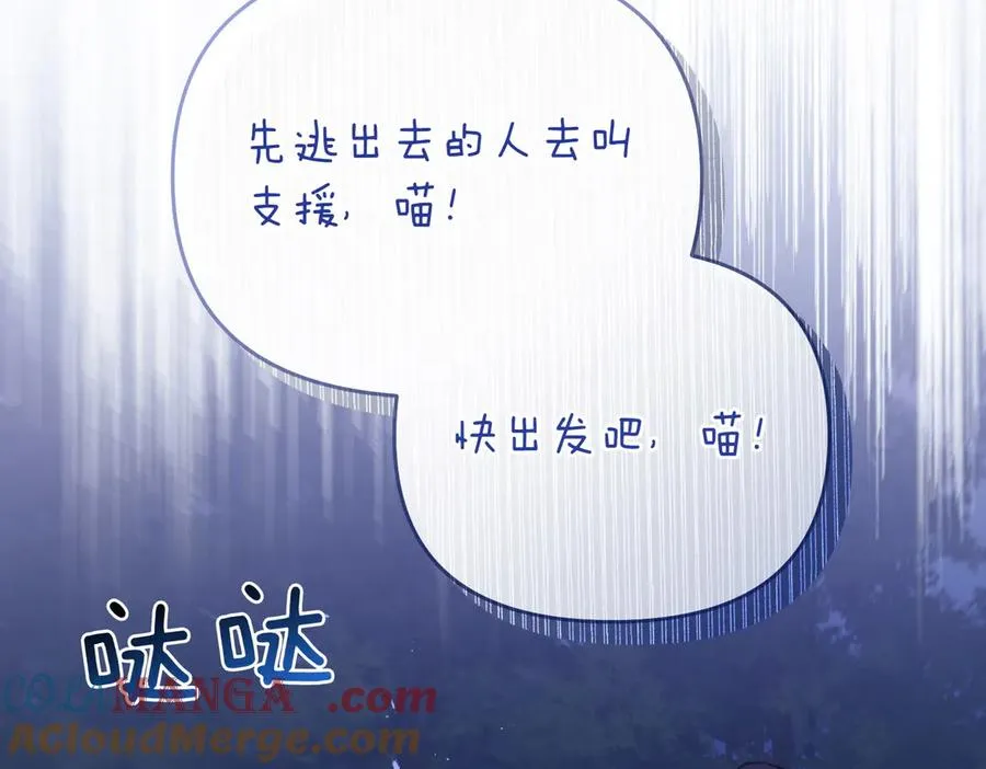 第70话 逃跑 第117页