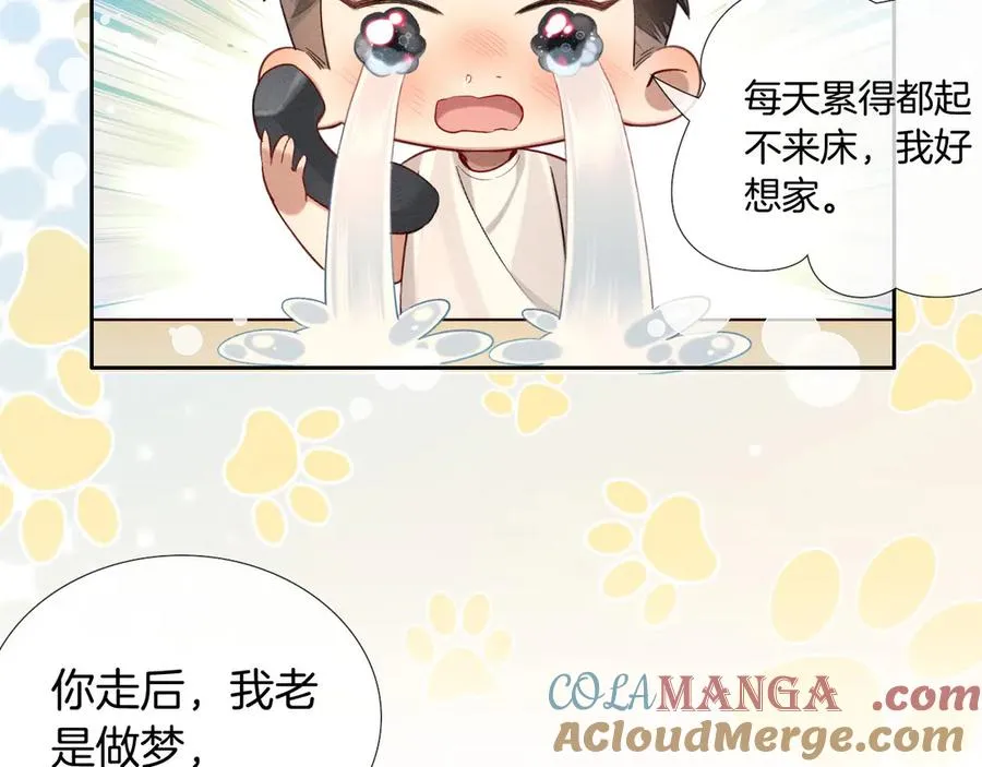 第20话 我想努力成为合格的队员 第19页