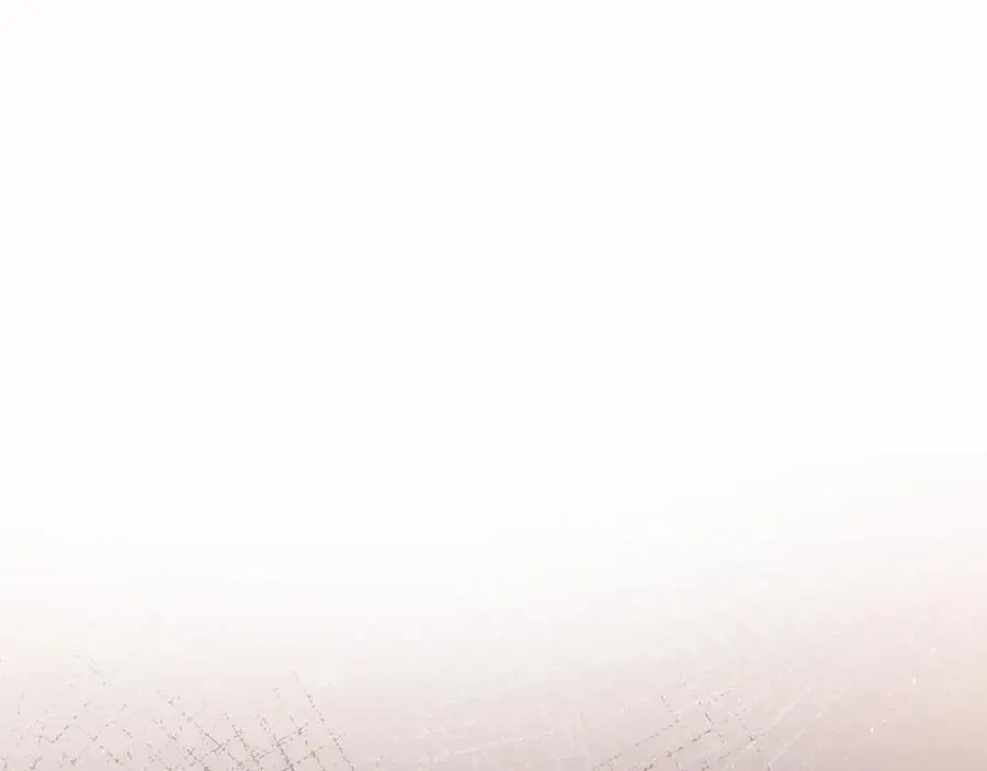 第三十三话 喜欢他 第4页