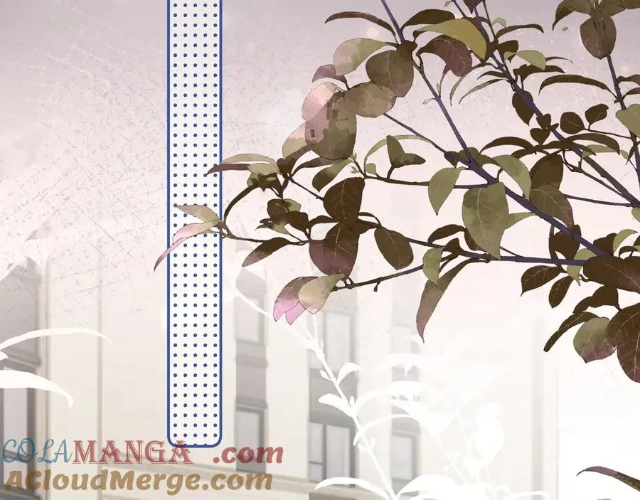 第四十四话 真or假 第19页