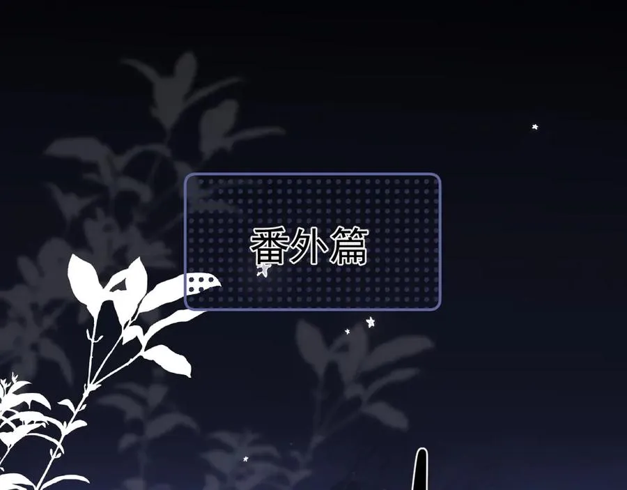 小番外-看不清 第4页