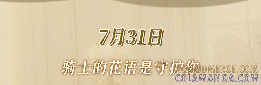 特典预热：7月31日 骑士的花语是守护你 第3页