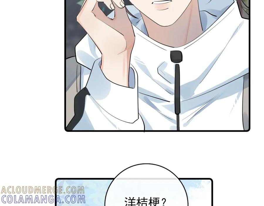 81 其实都是破绽 第22页