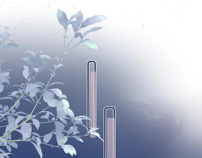 87 被放弃的选择 第4页