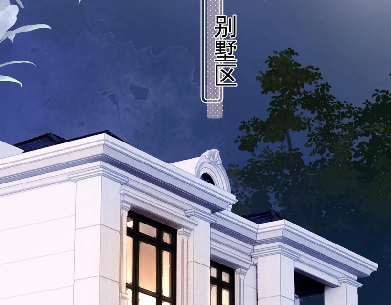 87 被放弃的选择 第5页