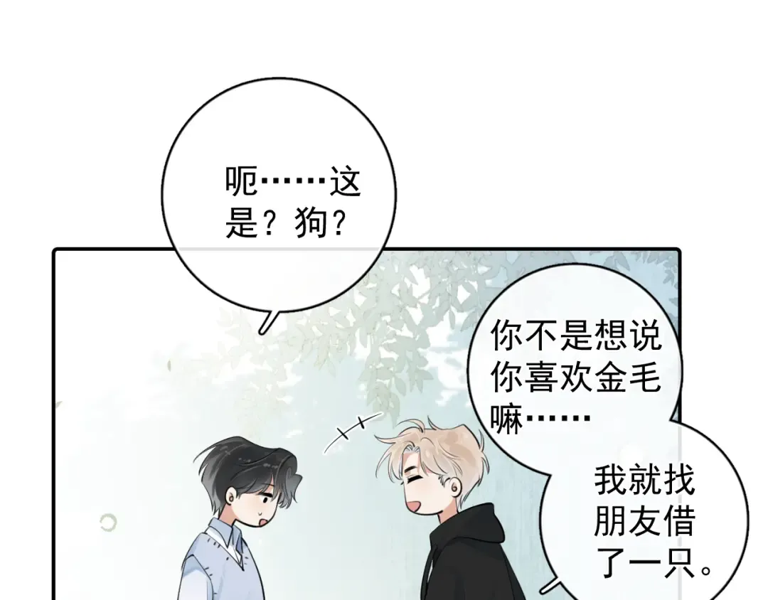 番外篇 ‘金毛’ 第6页