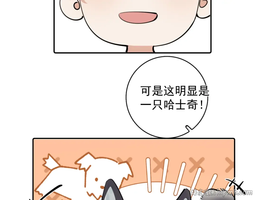 番外篇 ‘金毛’ 第8页