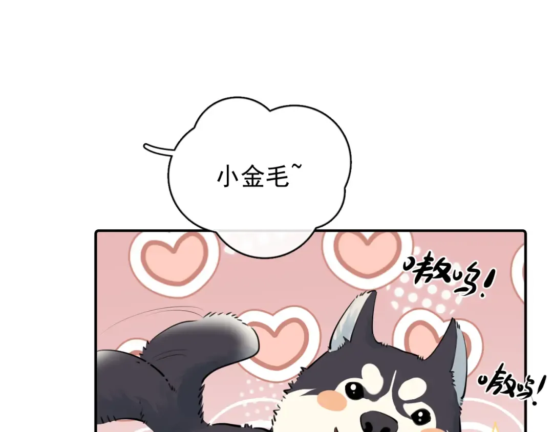 番外篇 ‘金毛’ 第11页