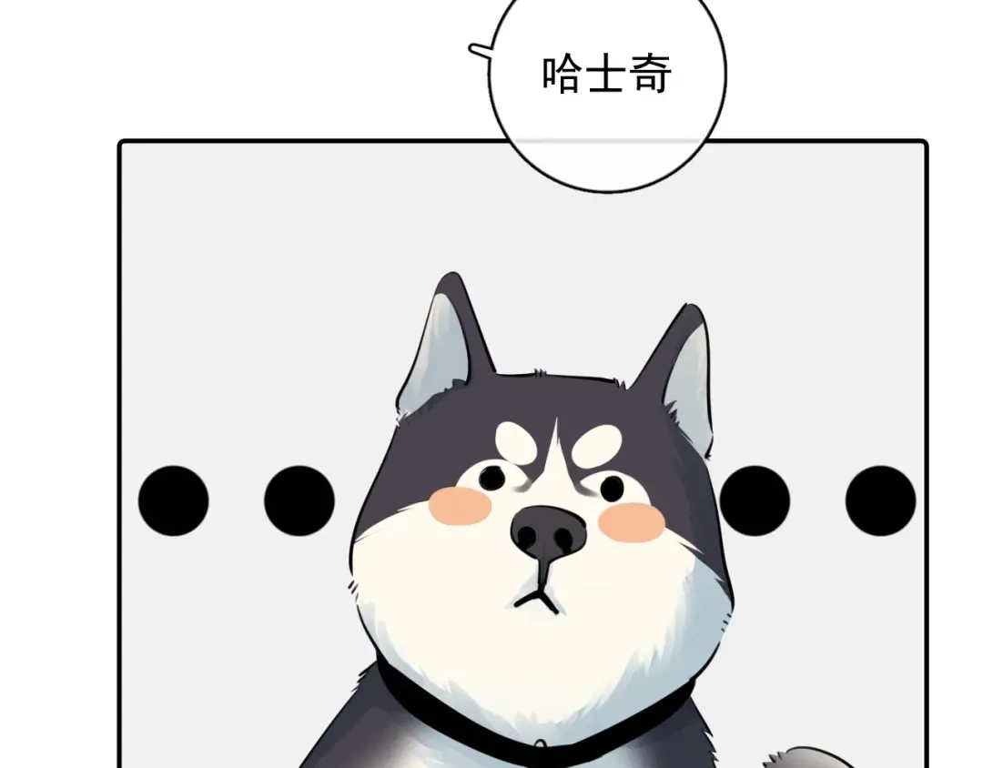 番外篇 ‘金毛’ 第13页
