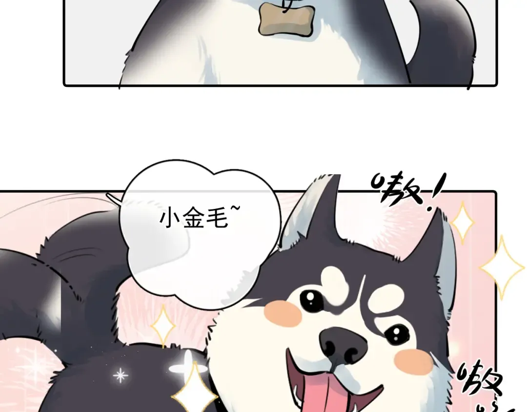 番外篇 ‘金毛’ 第14页