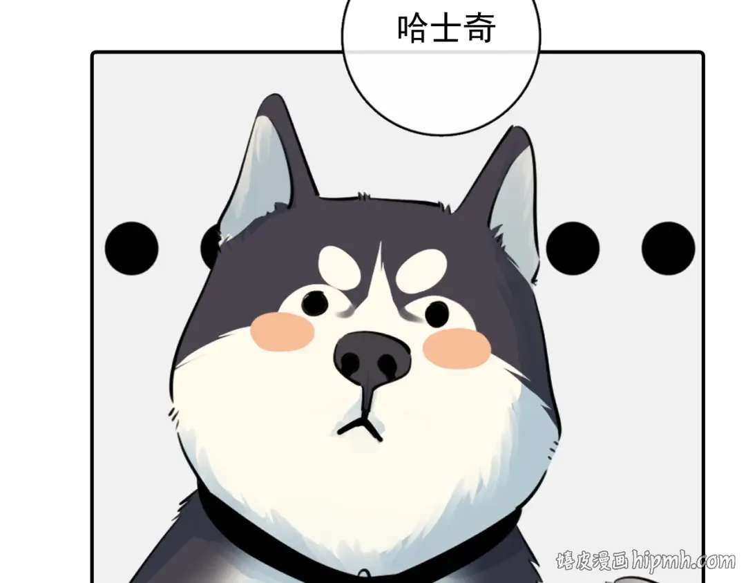 番外篇 ‘金毛’ 第16页