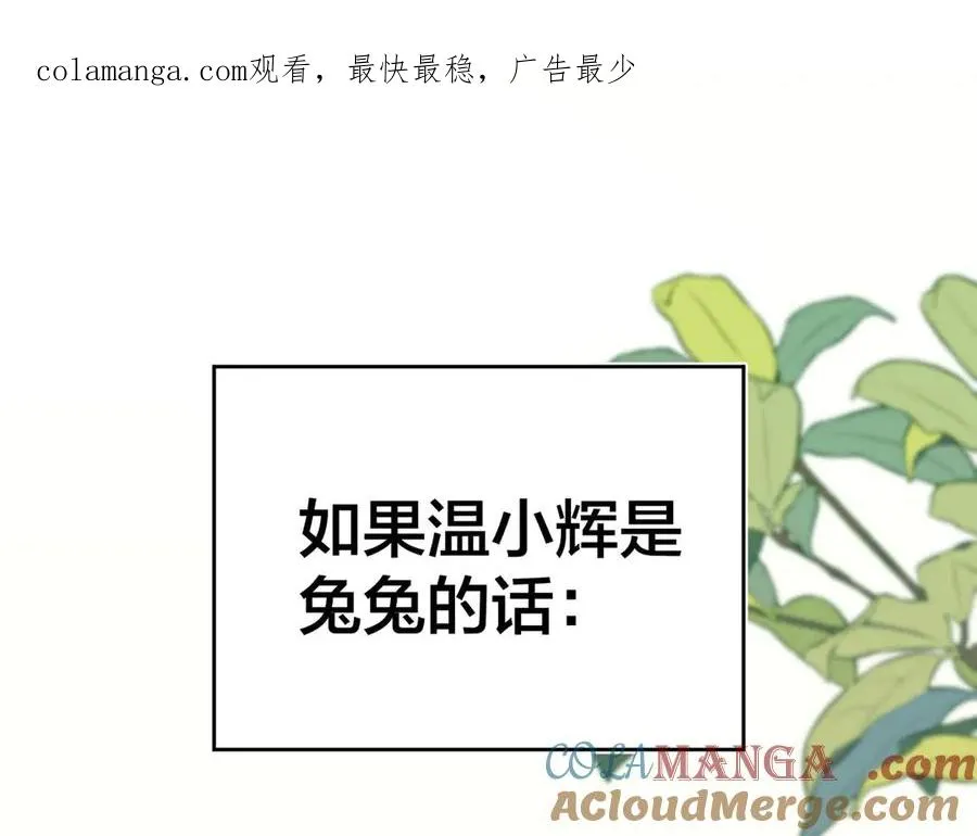 番外 小辉兔 第1页
