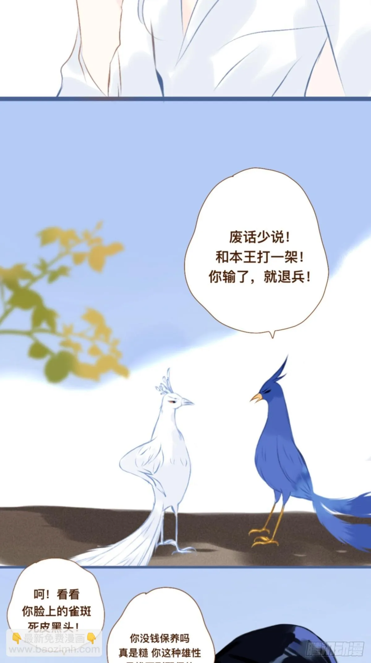 第九章 一只精致的小鸟 第19页
