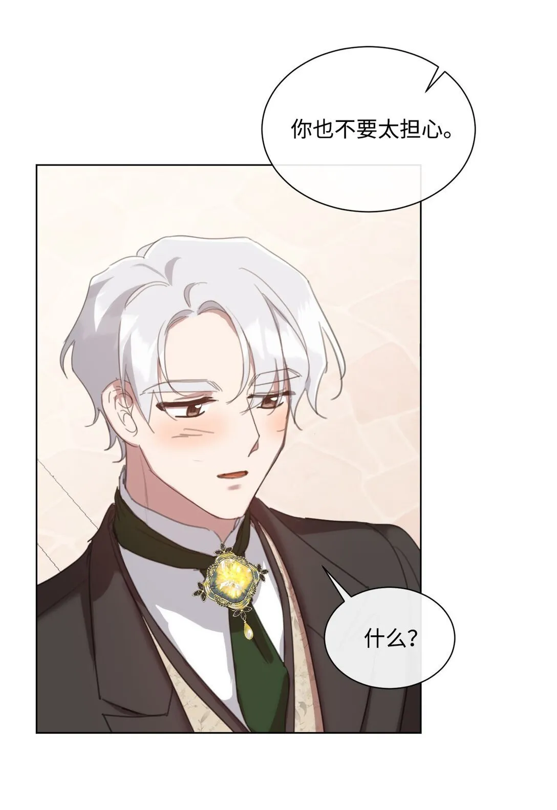 46 元老会议 第65页