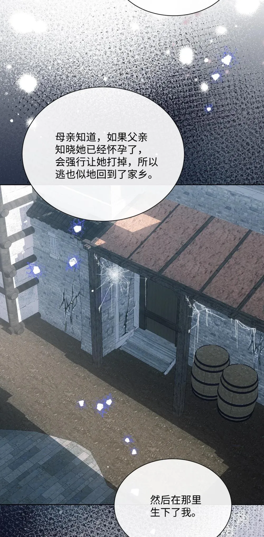72 佣兵团的过往 第24页