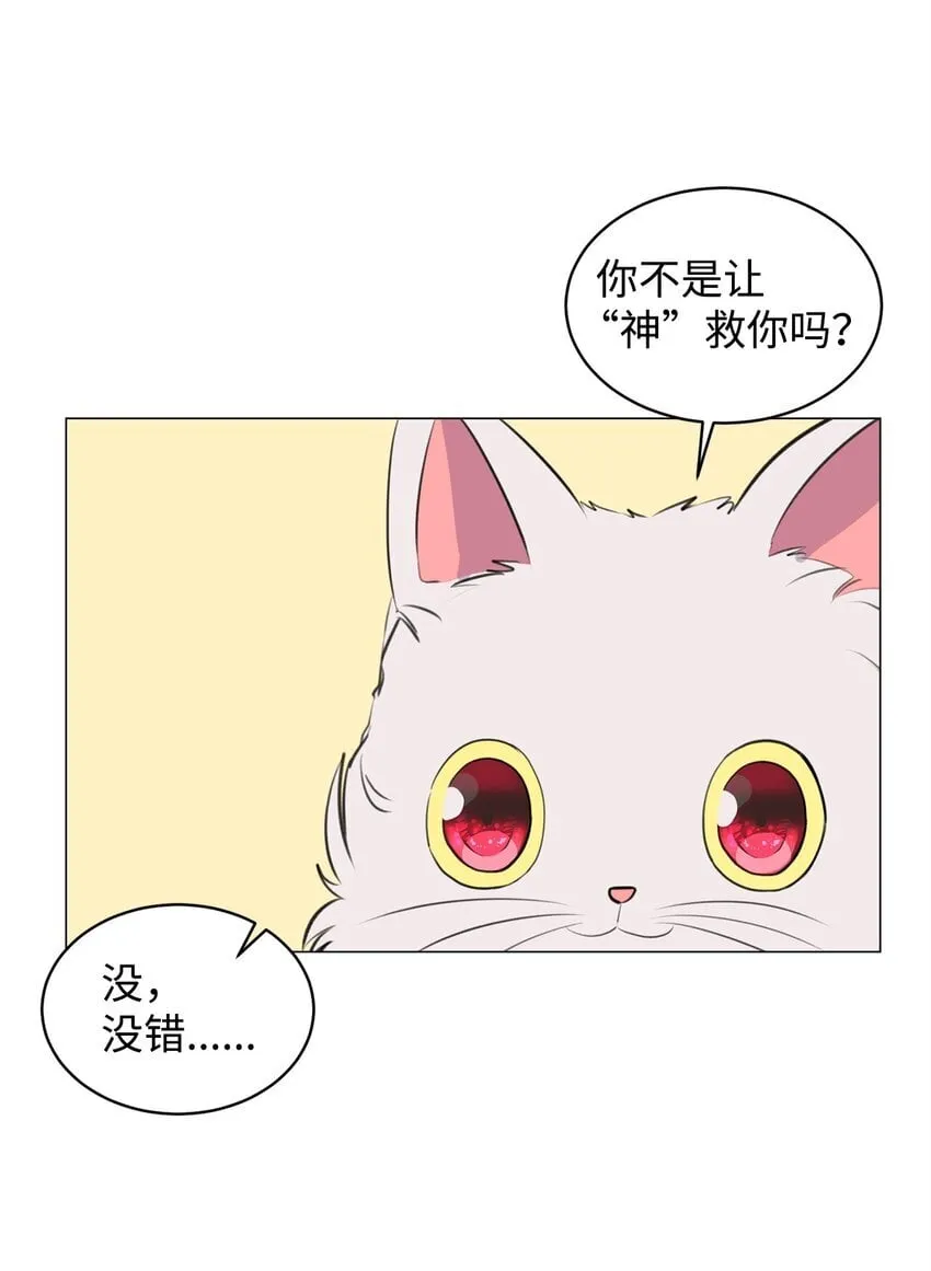 02 虐猫变态 第21页