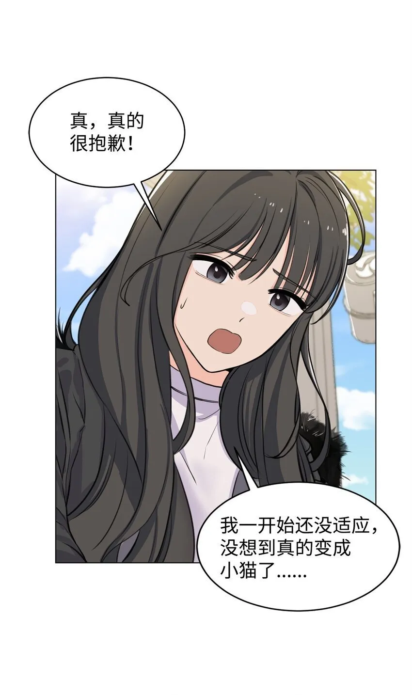 02 虐猫变态 第36页