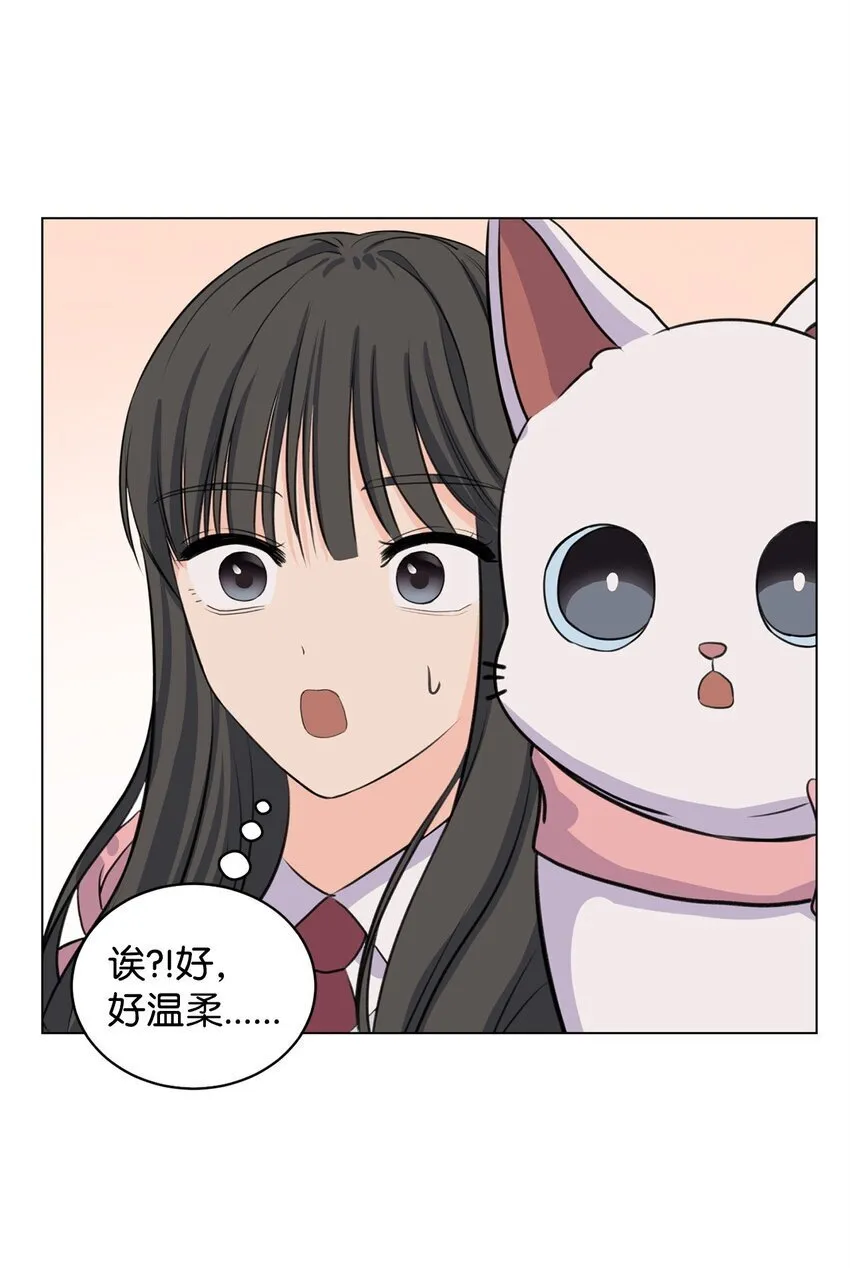 02 虐猫变态 第64页