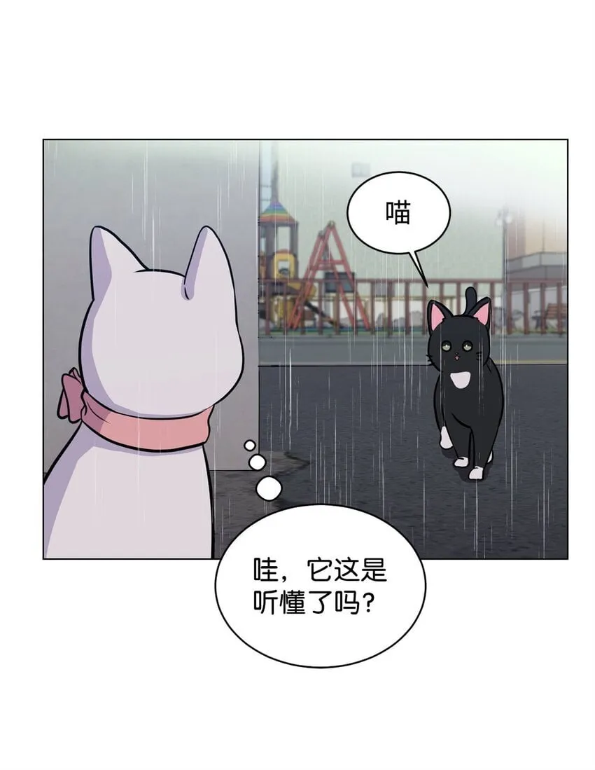 05 出门避雨 第59页
