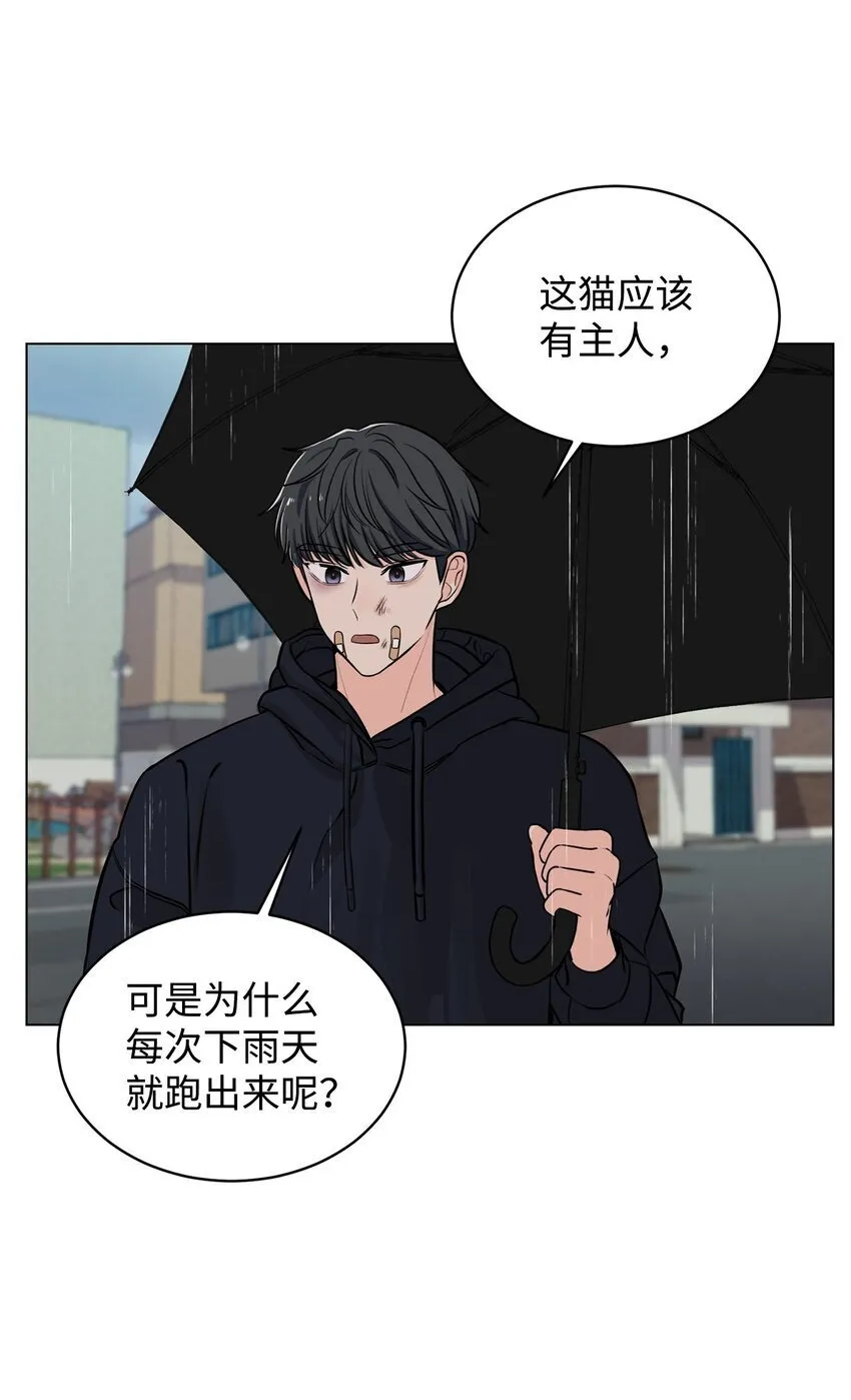 06 受伤的真相 第5页