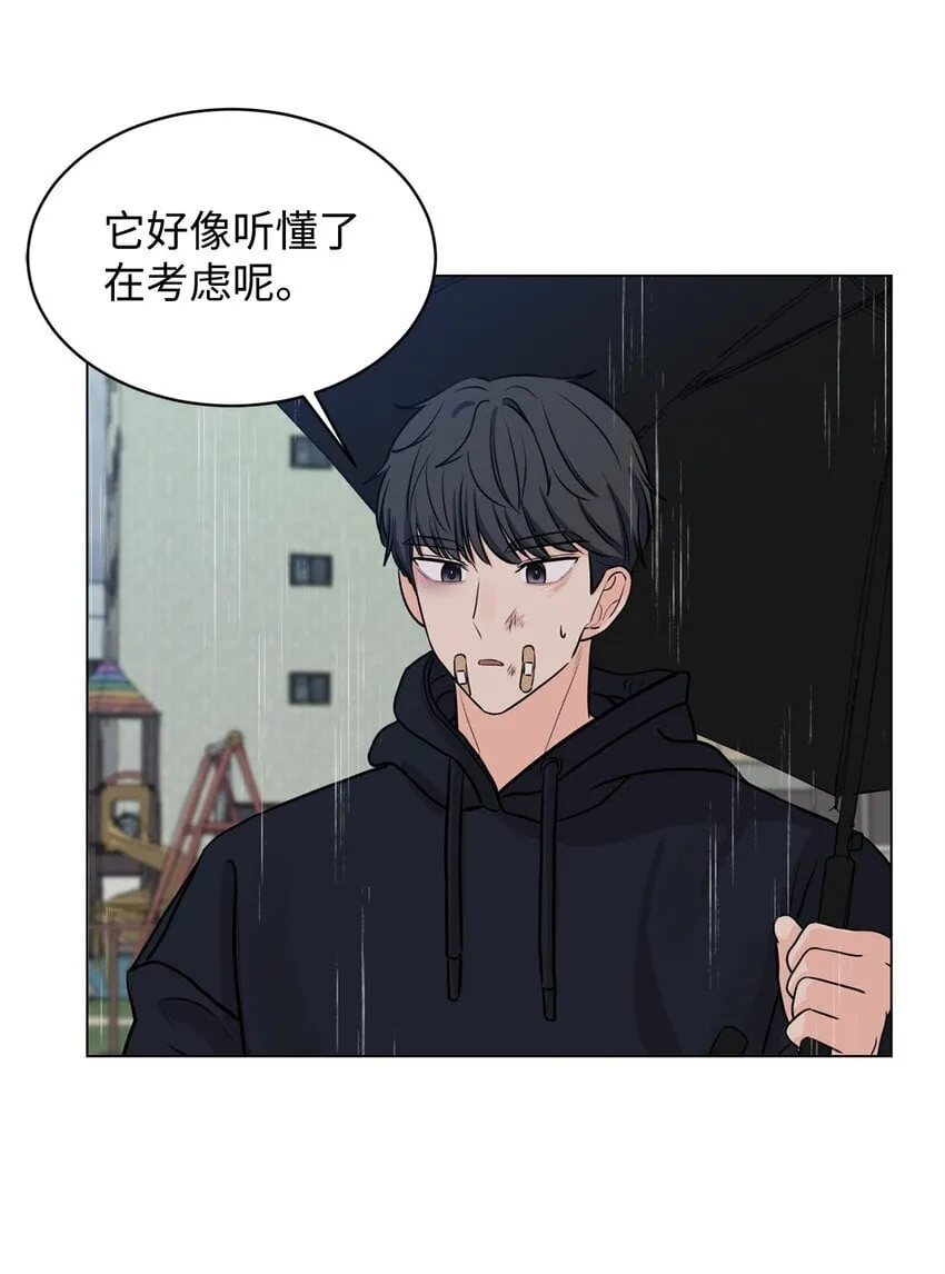 06 受伤的真相 第15页