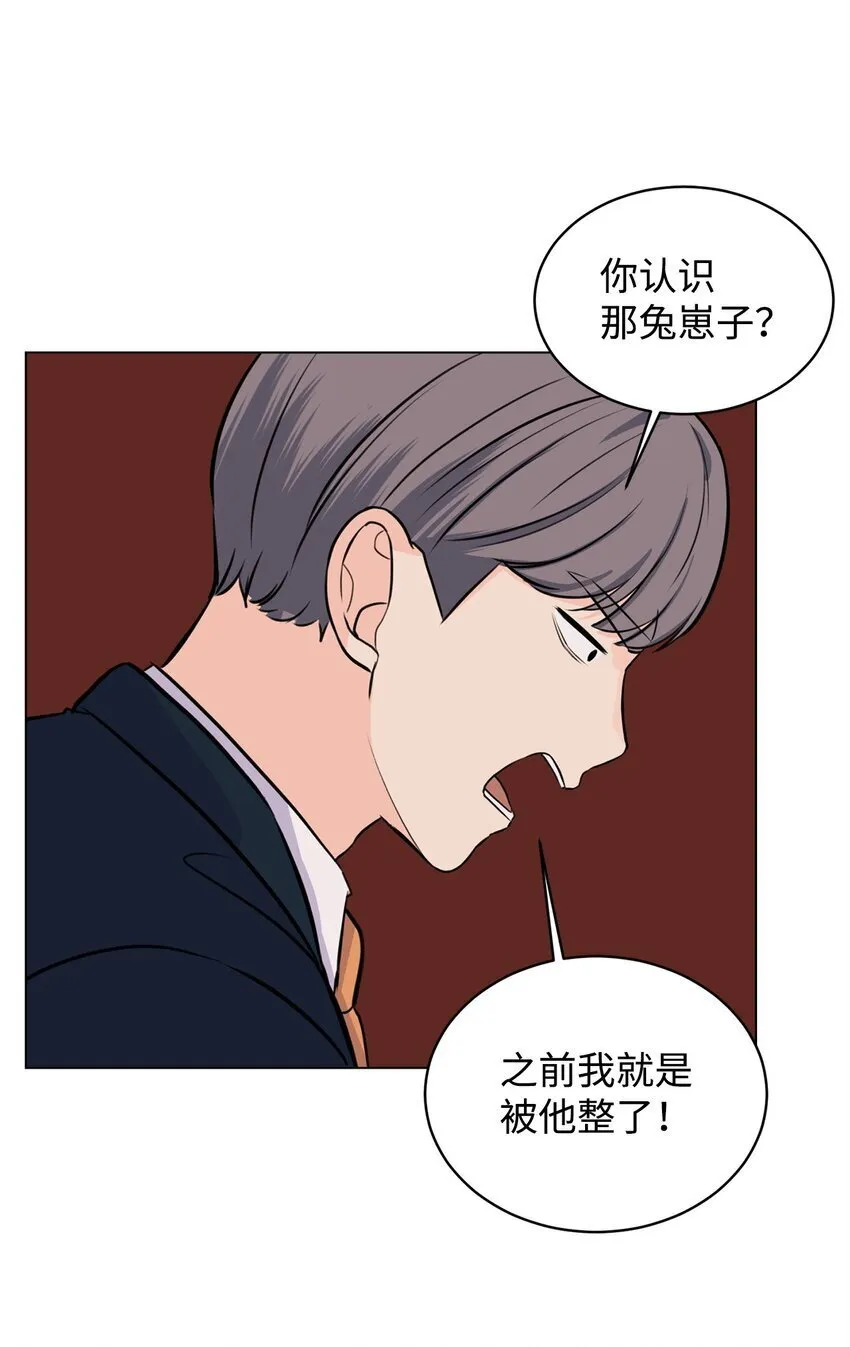 08 又有猫死了 第41页