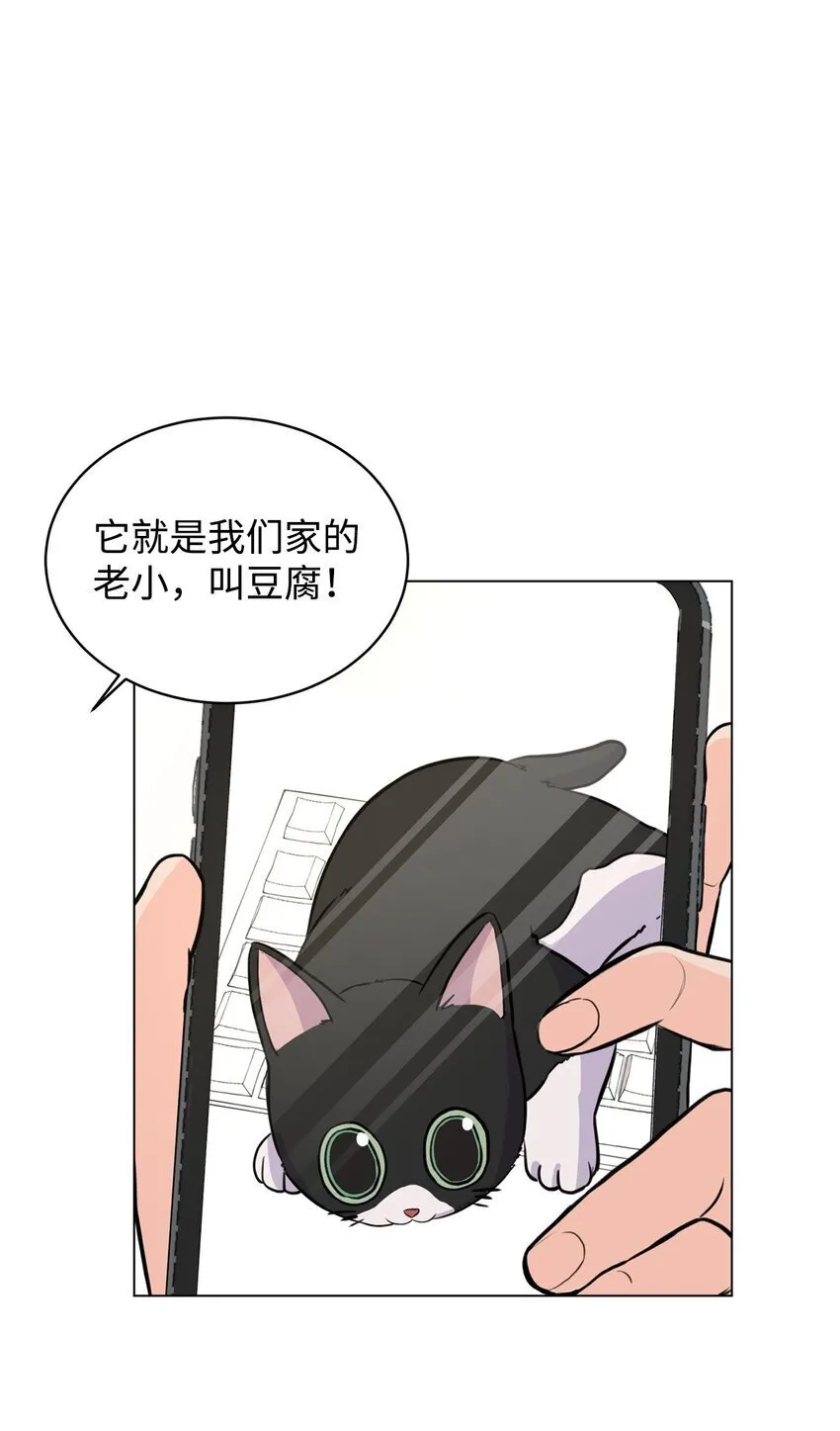 08 又有猫死了 第72页