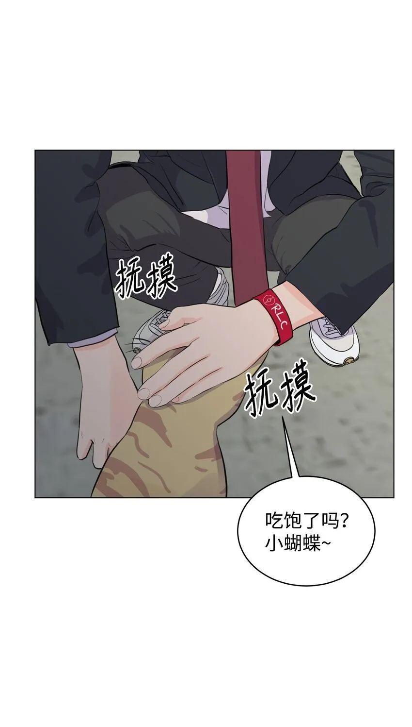 11 你还认识我吗 第51页