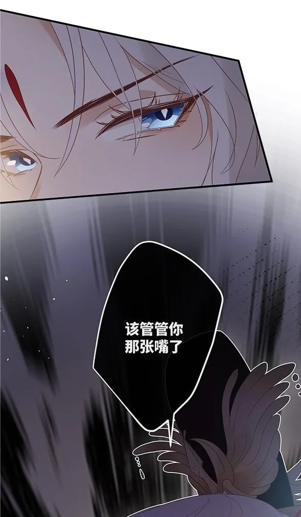 0 预告 第11页