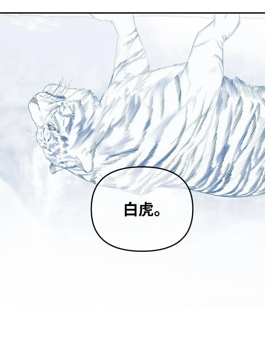 11 初遇白虎 第66页