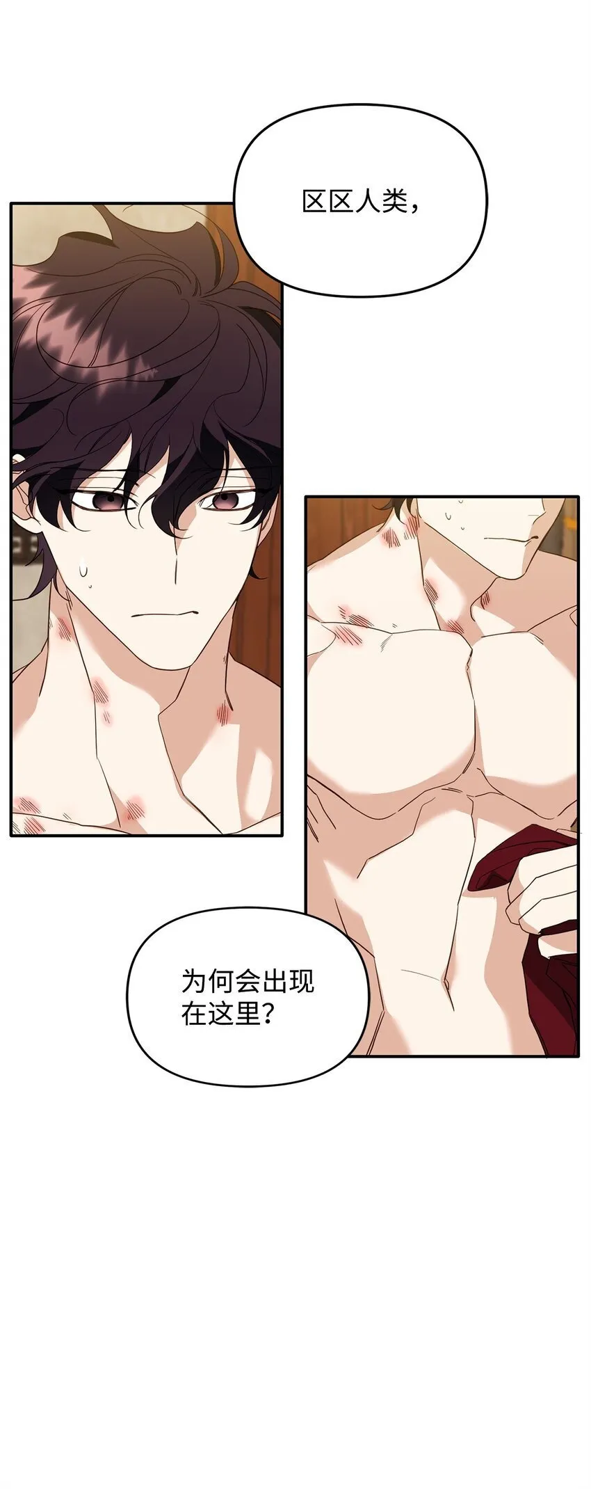 15 兄弟之争 第11页
