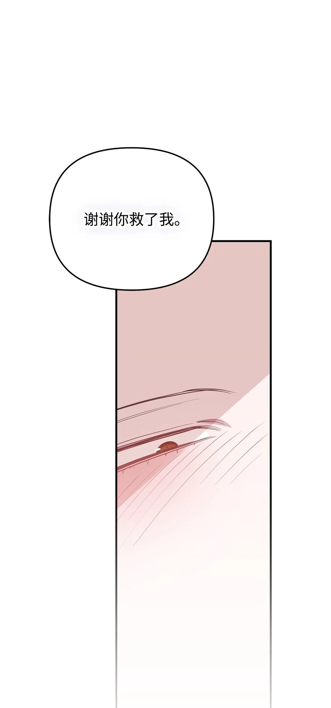 41 美丽的白虎 第41页