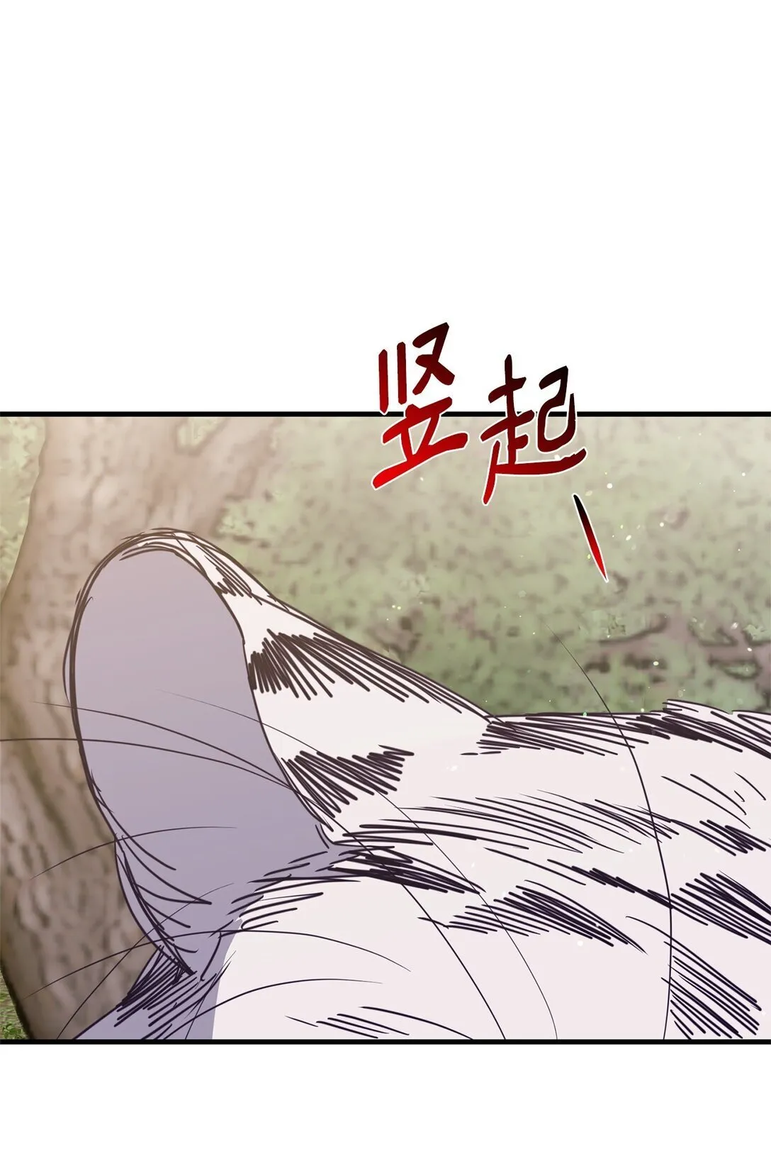 41 美丽的白虎 第60页