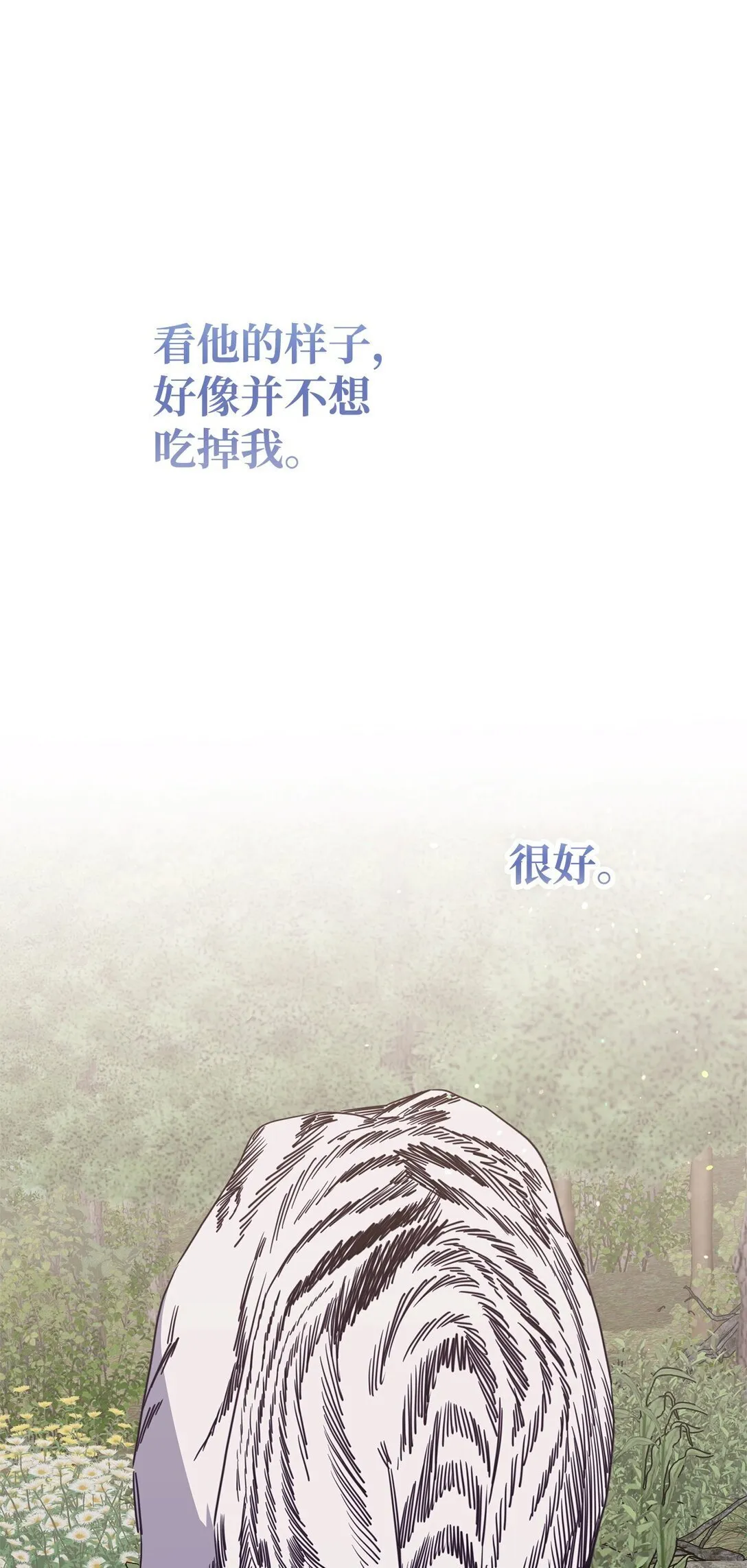 41 美丽的白虎 第77页