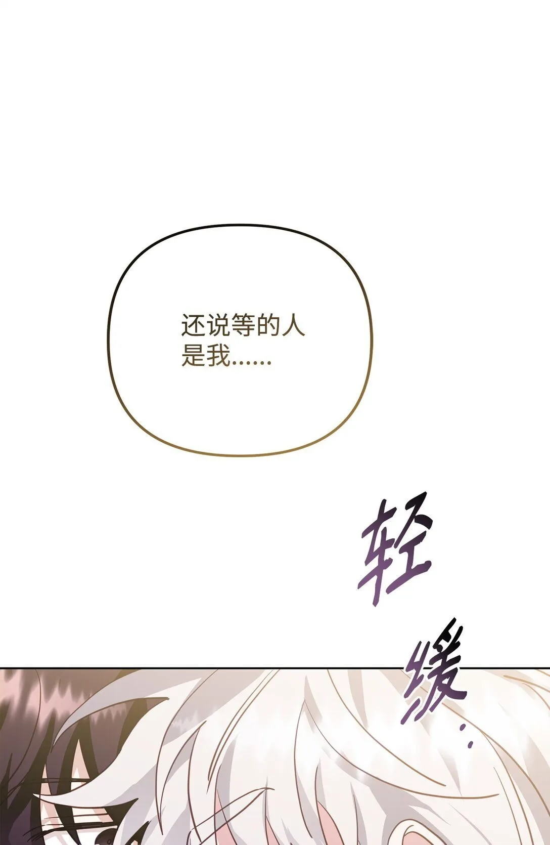 46 我的猛虎 第21页