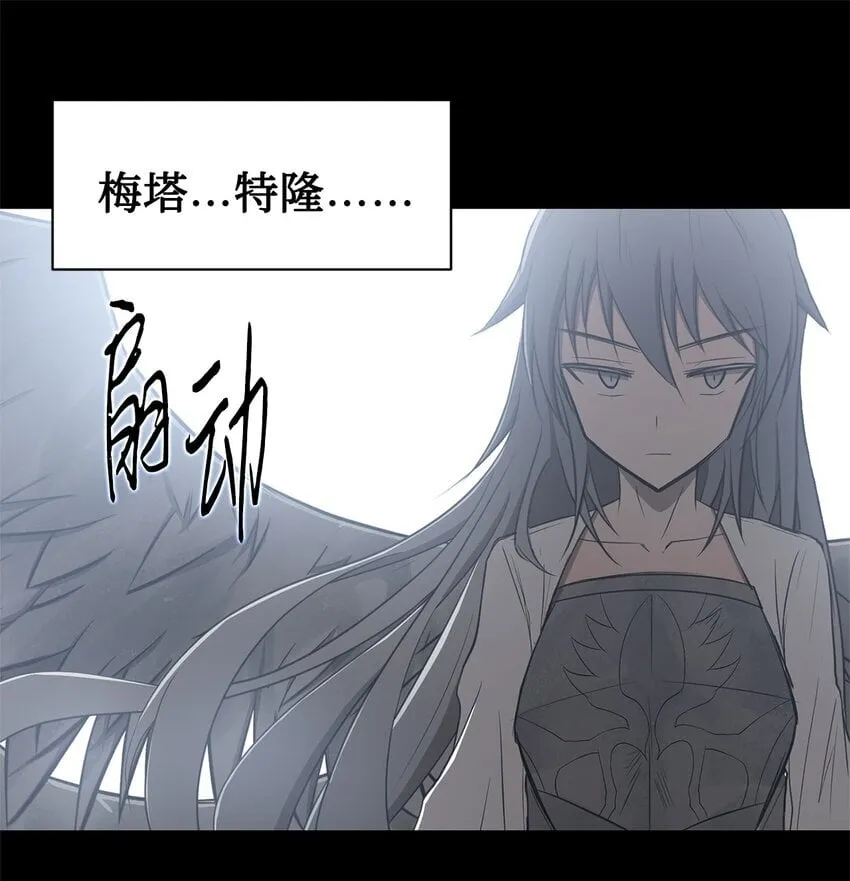 018 梅塔特隆 第47页