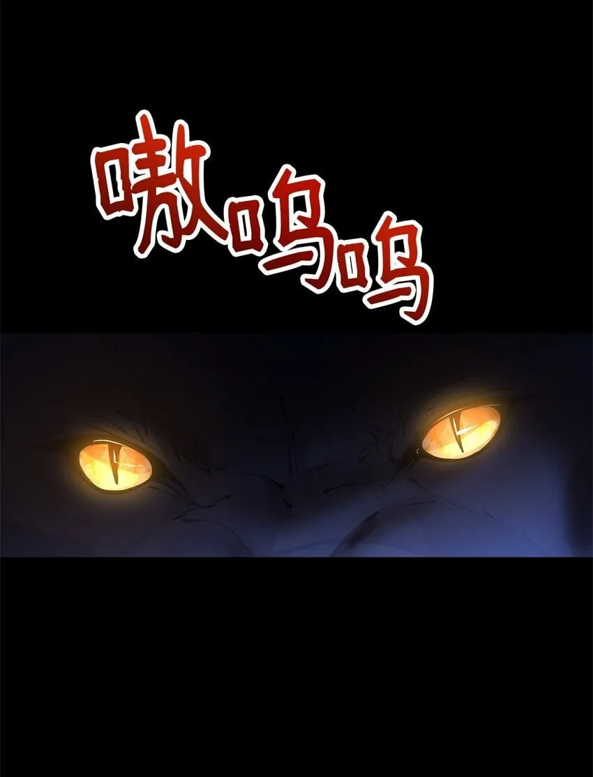 01 我与黑豹的初次见面 第5页