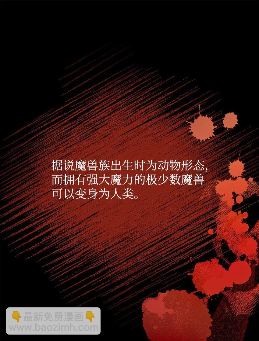 01 我与黑豹的初次见面 第14页