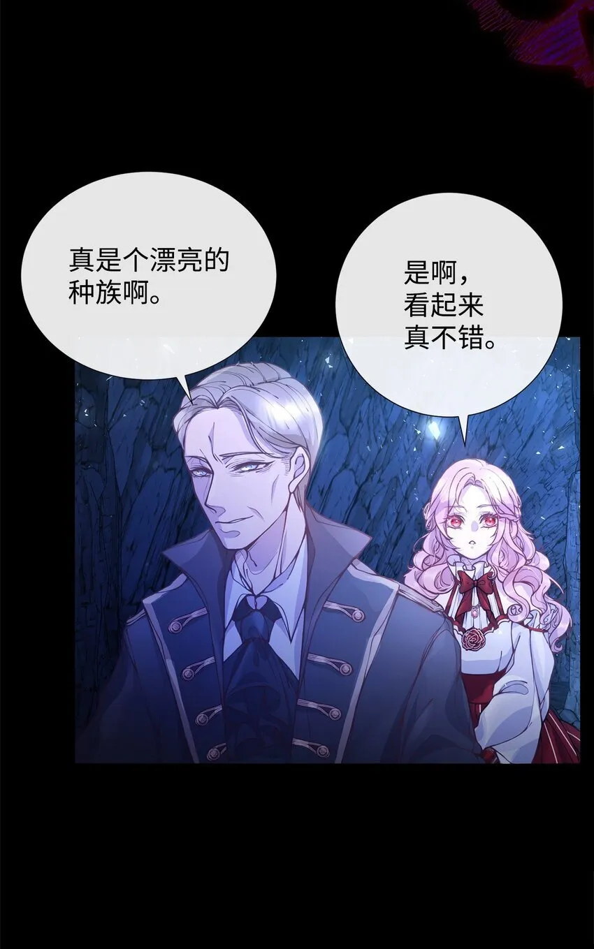 01 我与黑豹的初次见面 第17页