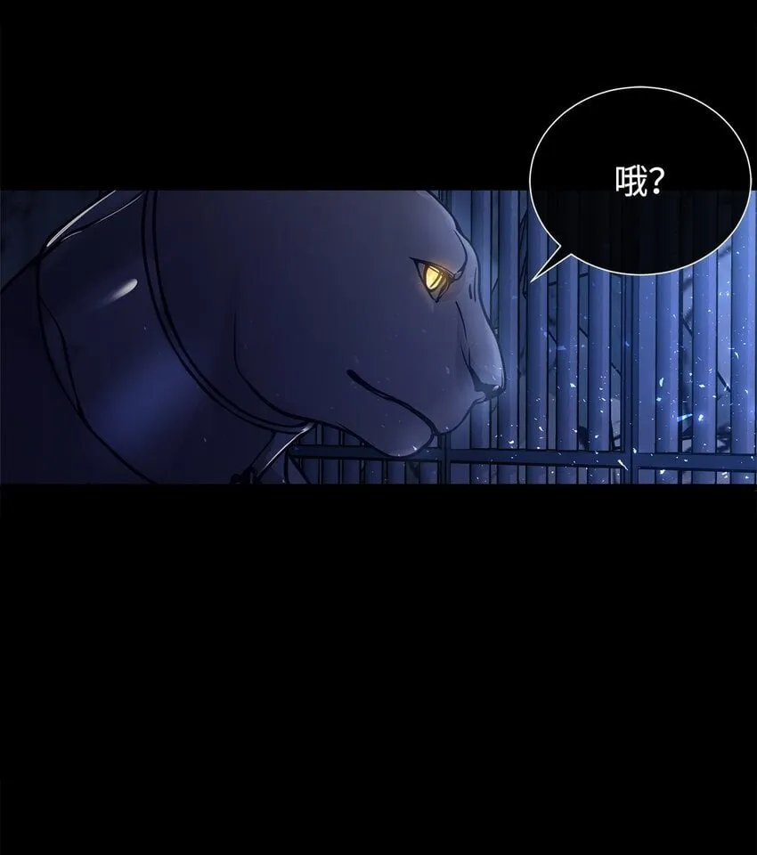 01 我与黑豹的初次见面 第73页