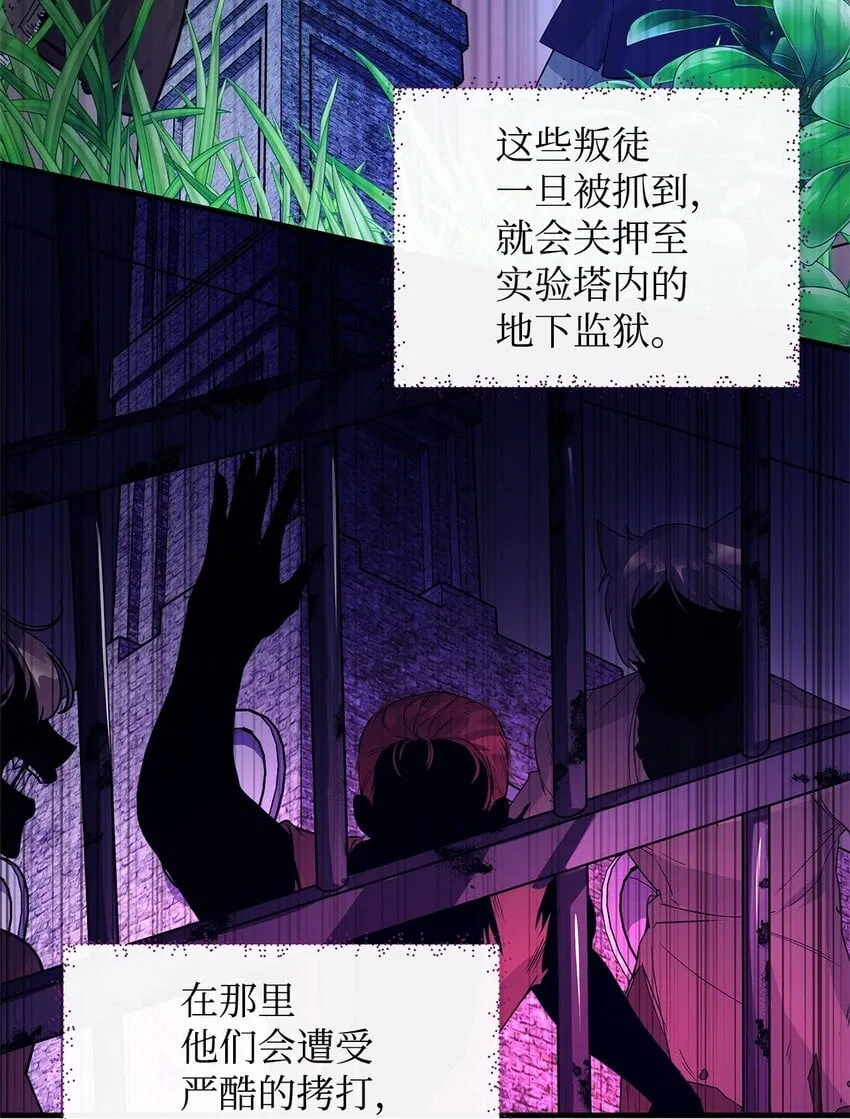 13 实验动物的来源 第20页