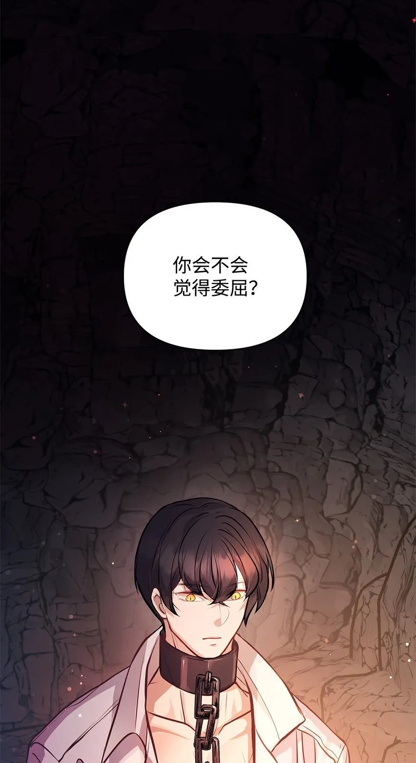 15 奖励 第43页