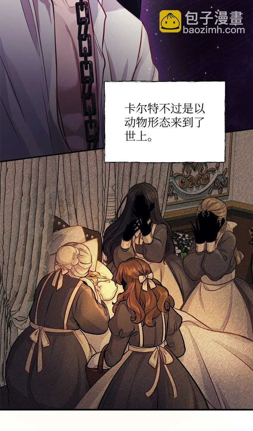 15 奖励 第48页